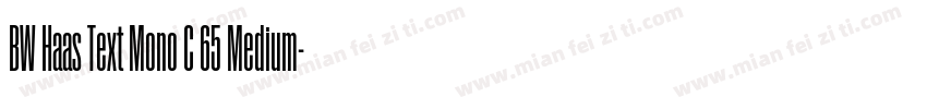 BW Haas Text Mono C 65 Medium字体转换